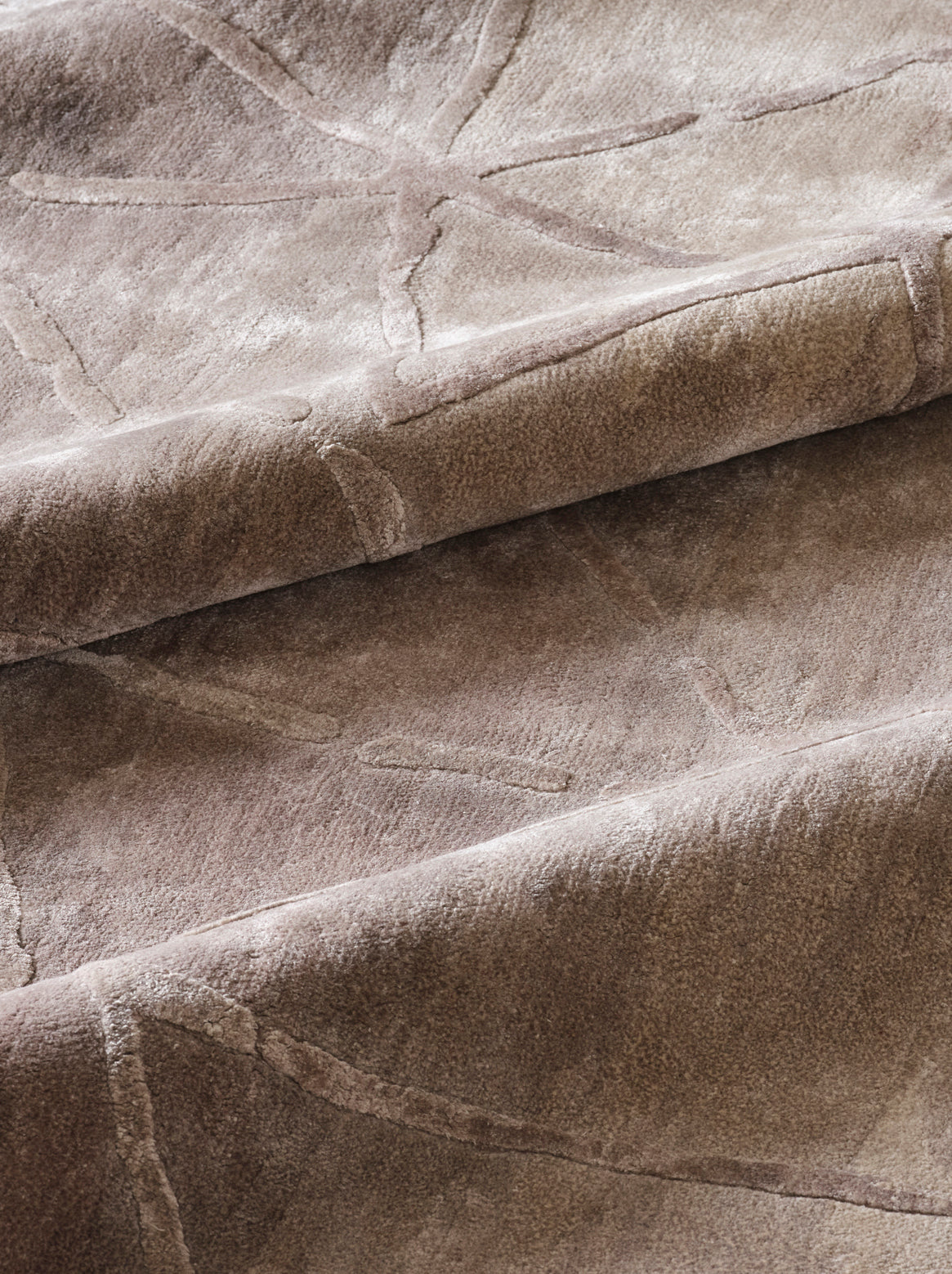 Luxury Carpet for Living Room