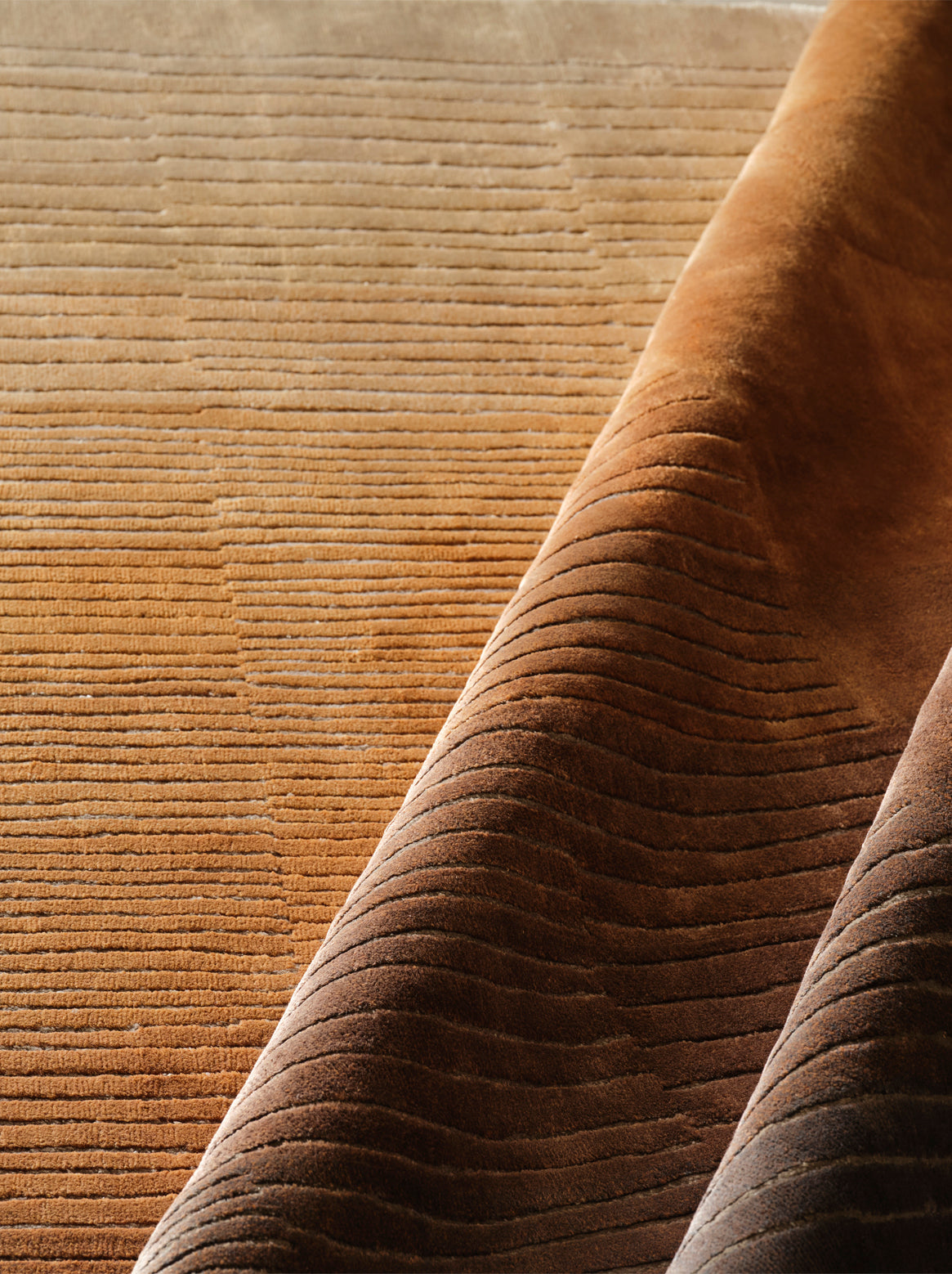 Luxury Carpet for Living Room