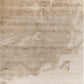 VERSE Ivory Beige